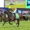 Columbus sails to victory at Randwick-Kensington meeting