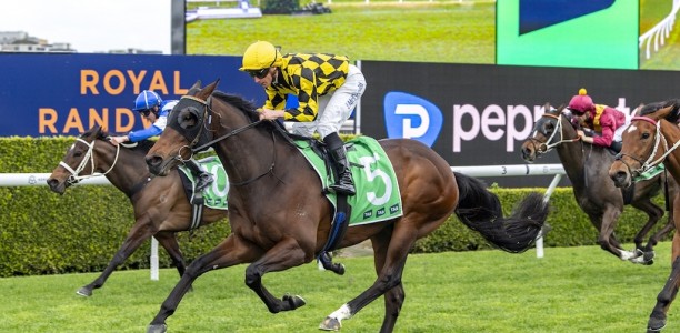 Columbus sails to victory at Randwick-Kensington meeting