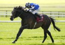 One-time Melbourne Cup favourite Al Riffa retired after career-ending injury