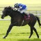 One-time Melbourne Cup favourite Al Riffa retired after career-ending injury