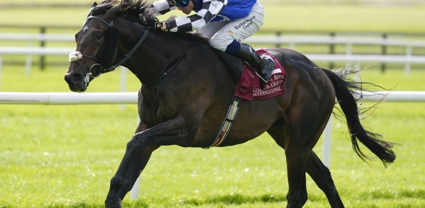 One-time Melbourne Cup favourite Al Riffa retired after career-ending injury