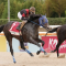 Diktaean leads global charge towards Breeders’ Cup