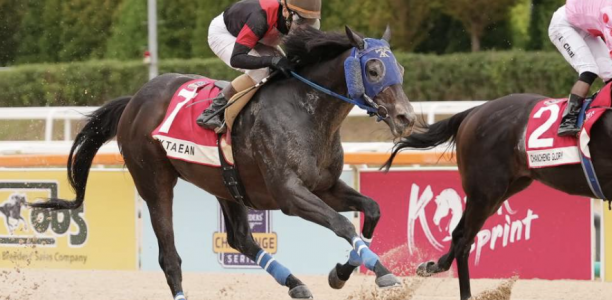 Diktaean leads global charge towards Breeders’ Cup