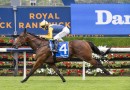 Paradoxium out to press Everest claims at Flemington