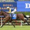 Paradoxium out to press Everest claims at Flemington