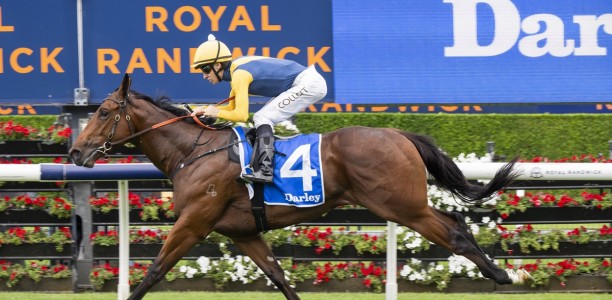 Paradoxium out to press Everest claims at Flemington
