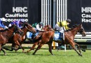 Streisand on song for Flemington return