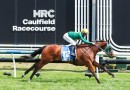 Sheza Alibi odds on in quality G1 Makybe Diva Stakes field