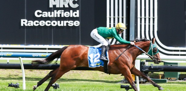 Sheza Alibi odds on in quality G1 Makybe Diva Stakes field