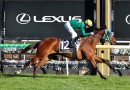 Makybe Diva stroll for Sheza Alibi