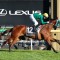Makybe Diva stroll for Sheza Alibi