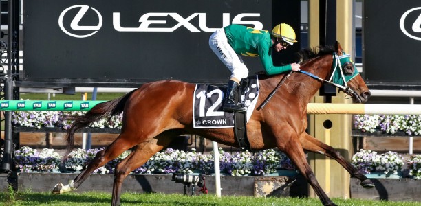Makybe Diva stroll for Sheza Alibi