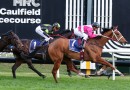 Cosmic Crusader & Birdman head odds in open Underwood Stakes field