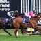 Cosmic Crusader & Birdman head odds in open Underwood Stakes field