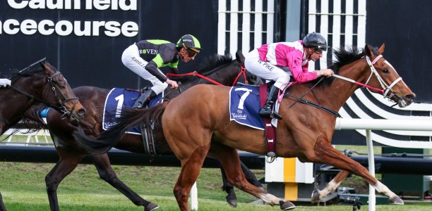 Cosmic Crusader & Birdman head odds in open Underwood Stakes field