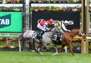 Deakin ticking over for Caulfield Cup target