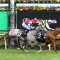 Deakin ticking over for Caulfield Cup target