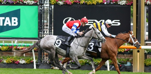 Deakin ticking over for Caulfield Cup target