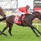 Profligate to take important step at Caulfield