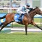 Scarole passes test for distance rise