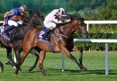 Widden Stud pulls off major coup securing leading European stallion prospect