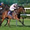 Widden Stud pulls off major coup securing leading European stallion prospect