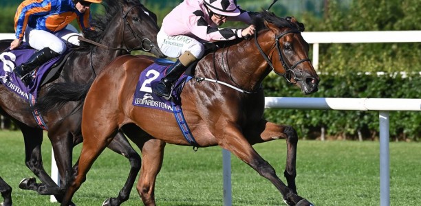 Widden Stud pulls off major coup securing leading European stallion prospect