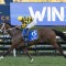 Small field adds tactical twist to 7 Stakes