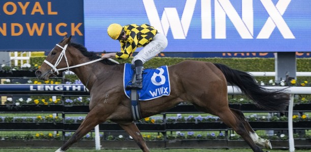 Small field adds tactical twist to 7 Stakes