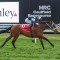 Underwood Stakes Tips, Field, Betting, Odds & Horse Previews – 2026