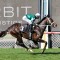 Angel Capital chasing valuable G1 in Sir Rupert Clarke Stakes