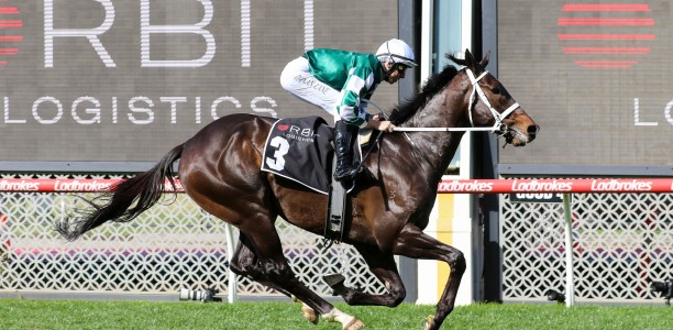 Angel Capital chasing valuable G1 in Sir Rupert Clarke Stakes