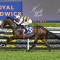 Perfumist too good in Tibbie Stakes