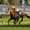 Autumn Glow reigns supreme at Royal Randwick