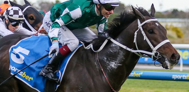 Angel Capital finally gets his valuable G1 win