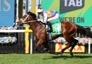 Waller readying fab five for 2026 Golden Rose tilt