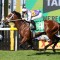 Waller readying fab five for 2026 Golden Rose tilt