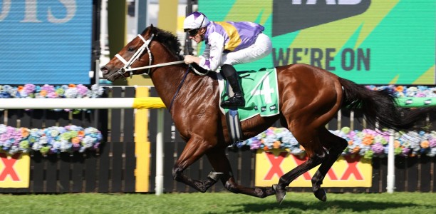 Waller readying fab five for 2026 Golden Rose tilt