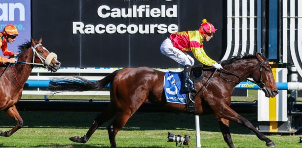 Big Day looms for Warrnambool sprinter