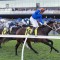 Beiwacht heads odds in quality Manikato Stakes field