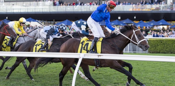 Beiwacht heads odds in quality Manikato Stakes field