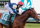 Zahrann penalised for Caulfield Cup after Naturalism win