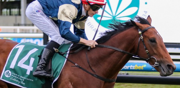 Zahrann penalised for Caulfield Cup after Naturalism win