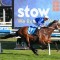 Fresh Beiwacht ready for Manikato Stakes assault