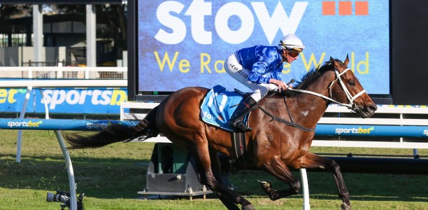 Fresh Beiwacht ready for Manikato Stakes assault
