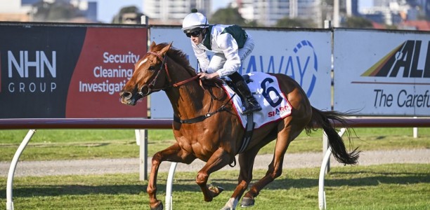 Smith weighing up Melbourne Cup for Aethelwulf