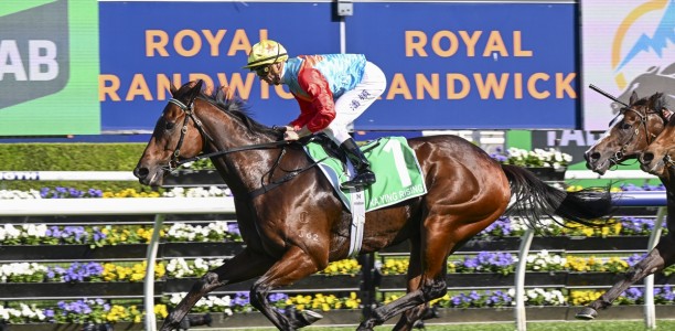 Hayes says Ka Ying Rising better than last year