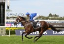 Winx delivers third foal at Coolmore Stud