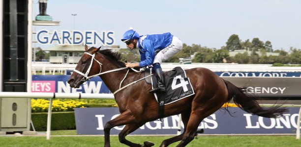 Winx delivers third foal at Coolmore Stud