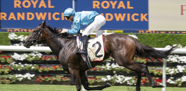 Boom Sydney filly heads odds in Scarborough Stakes field